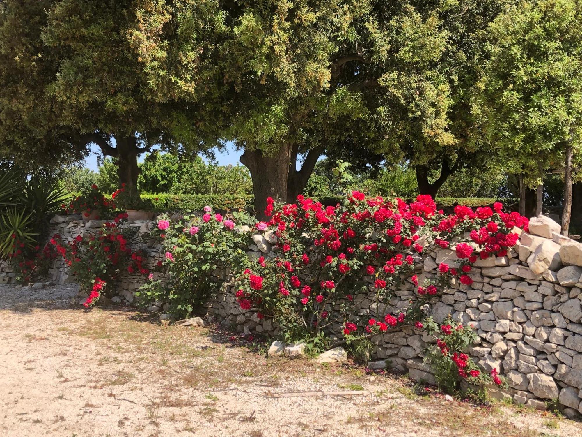 Ai Pilieri Di Bagnoli Villa Castel Del Monte  Exterior foto