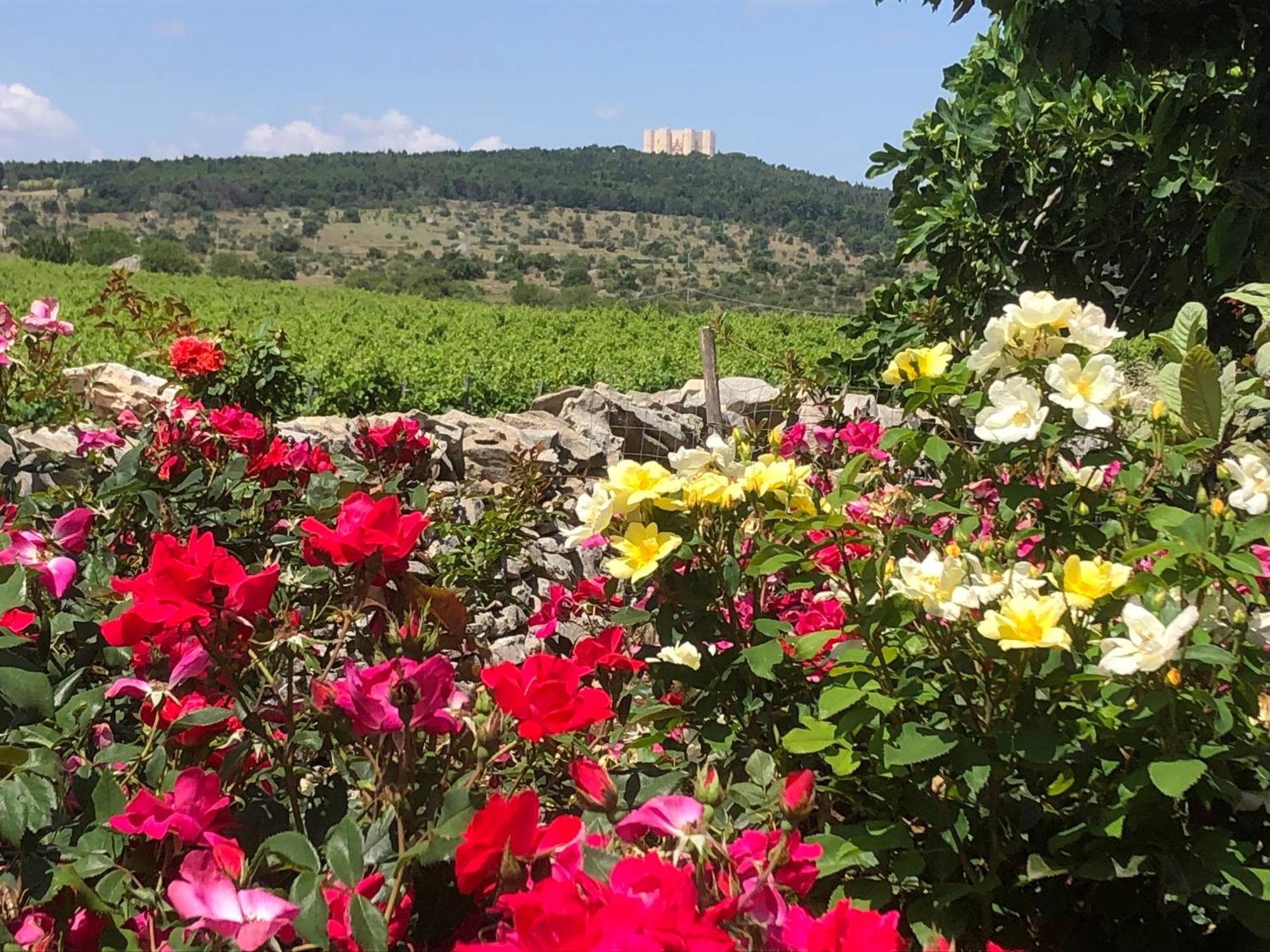 Ai Pilieri Di Bagnoli Villa Castel Del Monte  Exterior foto